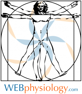 WEBphysiology Vitruvian Man