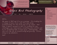 Glass Bird Photography